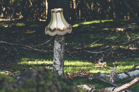 Lampshade on tree trunk in forest.の写真素材