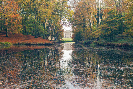 Pond in park surrounded by autumn trees. Elswout estate. The Netherlands.の写真素材