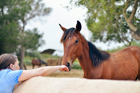 Woman touching nose of horse in the fieldの写真素材
