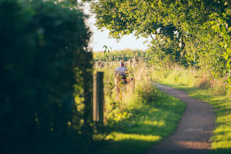 Man on tractor mower in garden.の写真素材