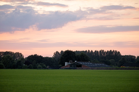 Cattle shed of farm at sunset. Geesteren. Achterhoek. Gelderland. The Netherlands.の写真素材