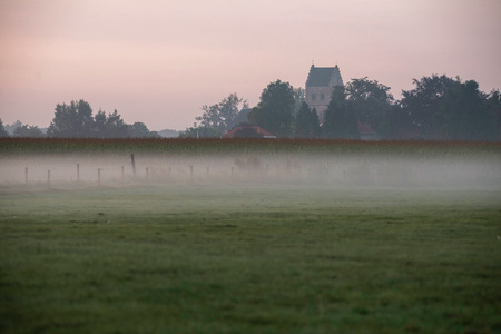 Old church tower over corn field in morning fog.の写真素材