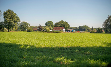 Dutch rural landscape with farm. Winterswijk. Achterhoek. Gelderland. The Netherlands.の写真素材