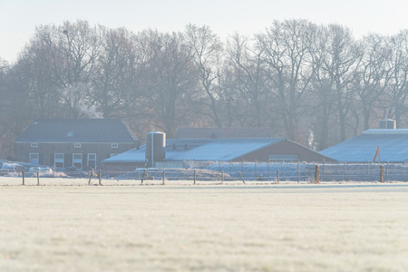 Dutch rural winter landscape with a farm.の写真素材