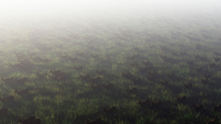 Aerial of herd of red deer in misty field.の写真素材