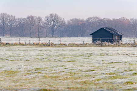 Little barn standing in winter rural landscape. Geesteren. Achterhoek. Gelderland. The Netherlands.の写真素材