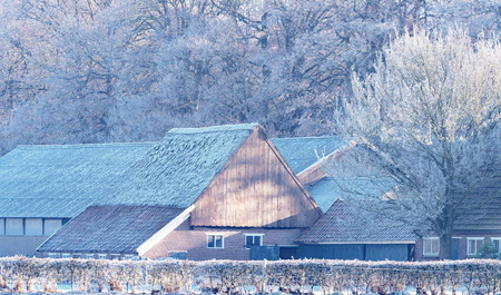 Stables with trees in winter. Geesteren. Achterhoek. Gelderland. The Netherlands.の写真素材