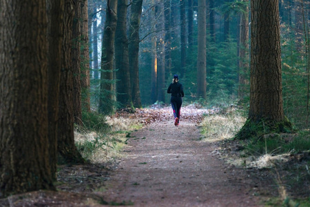 Woman running on path in winter pine forest. Rear view.の写真素材