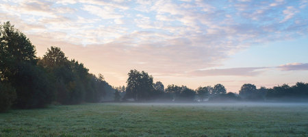 Layer of mist over meadow on cold morning. Noordijkerveld. Achterhoek. Gelderland. The Netherlands.