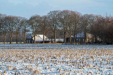 Old dutch farm in winter countryside landscape.の写真素材
