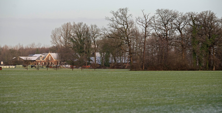 Dutch rural winter landscape with old house.の写真素材