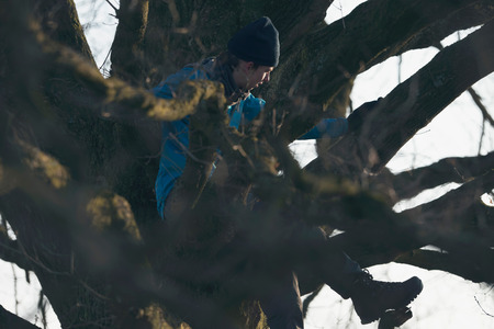 Teen boy sitting in winter tree.の写真素材