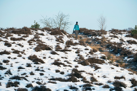 Hiker walking downhill in nature reserve during winter.の写真素材