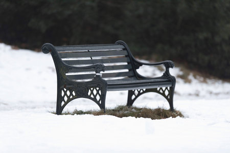 Old bench in snowy winter park.の写真素材