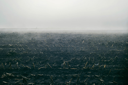 Bare farm field in fog. The Netherlands.の写真素材