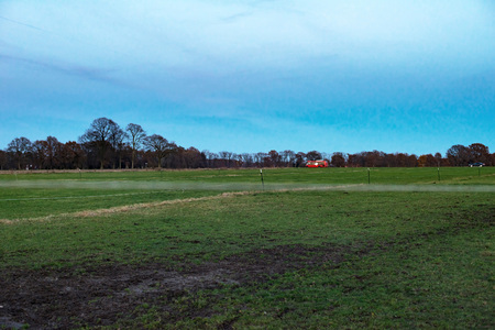 Dutch rural landscape with red public transport bus driving by.の写真素材