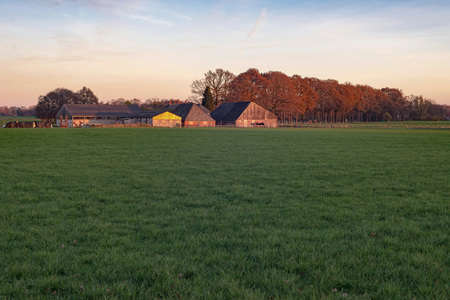 Shed and barns in dutch rural autumn landscape lit by low sunlight.の写真素材