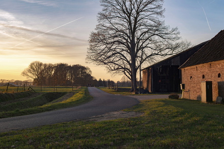 Old farm along rural road lit by low sunlight.の写真素材