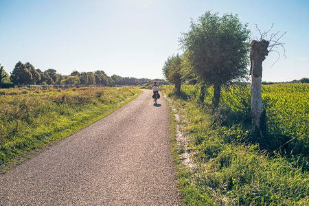 Rural road with tourist on bicycle in dutch summer landscape.の写真素材