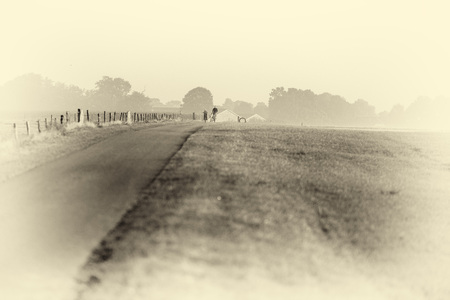 Antique plate photography of father and children cycling on rural road in morning mist.の写真素材