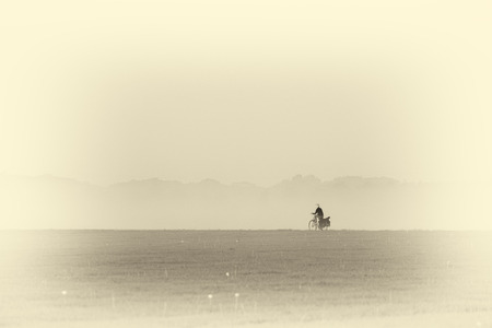 Antique plate photography of kid cycling on rural road in morning mist.の写真素材