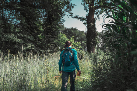 Hiker with hat walking between tall grass and corn field.の写真素材