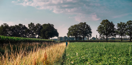 Hiker in hat crossing farmland in morning sunlight.の写真素材