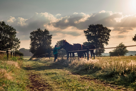 Man standing at fence with horses in countryside.の写真素材