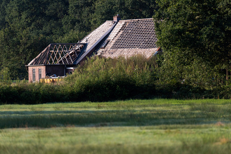 Old farmhouse under construction. Standing between reed and trees.の写真素材