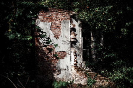 Ruin of farmhouse overgrown by bushes.の写真素材