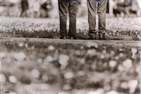 Classic black and white photo of legs of senior man and woman standing at field of crosuses.
