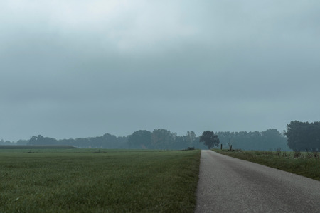 Country road in dutch rural landscape under cloudy sky.の写真素材
