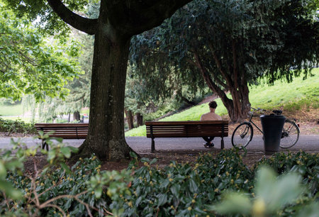 Man sitting on bench in city summer park. Nijmegen, Gelderland, the Netherlands.の写真素材