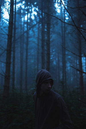 Man in hoody in spooky misty pine forest.の写真素材