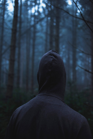 Man in hoody in spooky misty pine forest. Rear view.の写真素材