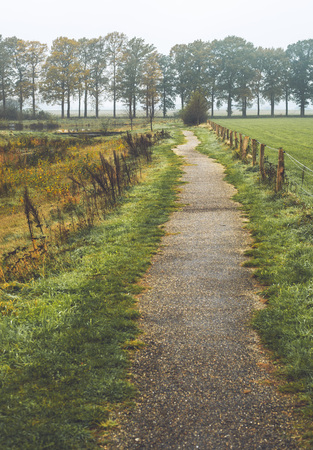 Walking path in misty dutch rural autumn landscape.の写真素材