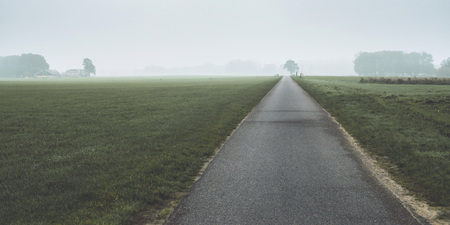 Road in misty dutch countryside with trees on horizon.の写真素材