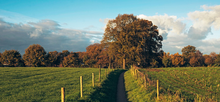 Pathway with fence in sunny autumn countryside. Geesteren, Gelderland, Netherlands.の写真素材