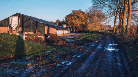 Dirt road and cowshed in rural landscape lit by low autumn sunlight.の写真素材