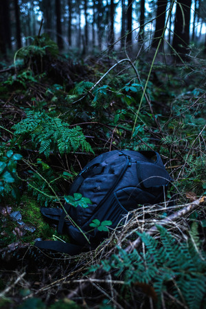 Lost backpack in ditch of dark forest.の写真素材