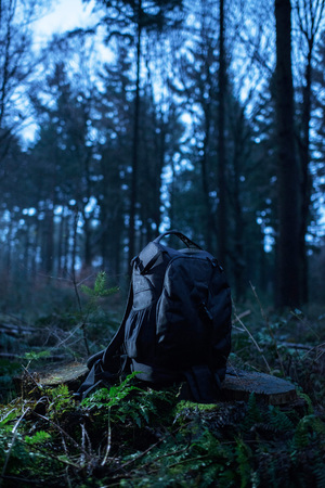 Lost black backpack on tree stump in forest.の写真素材