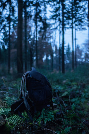 Lost black backpack on tree stump in forest.