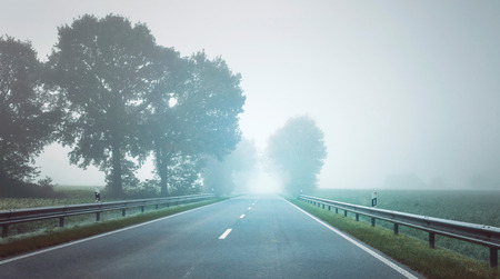 Country road with trees in mist. North Rhine-Westphalia, Germanyの写真素材