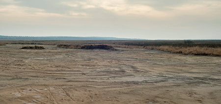 Wide plain with sand and heather on overcast winter day.