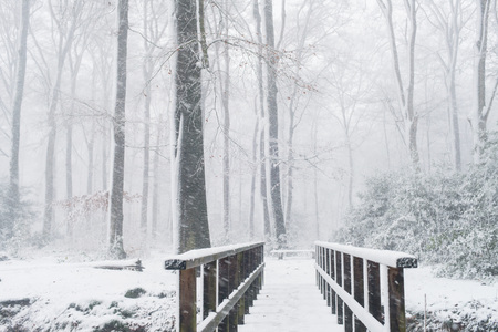 Wooden bridge in snowy forest during snowfall.の写真素材