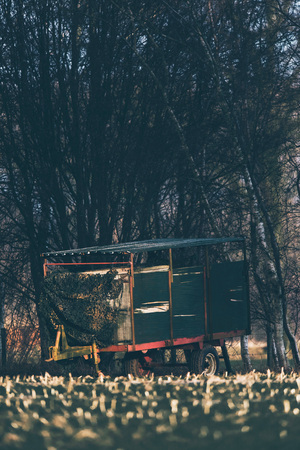 Vintage cattle truck parked at edge of field used as deer watching post. Lit by low winter sunlight.の写真素材