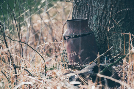 Vintage rusty iron milk can against tree trunk in countryside.の写真素材