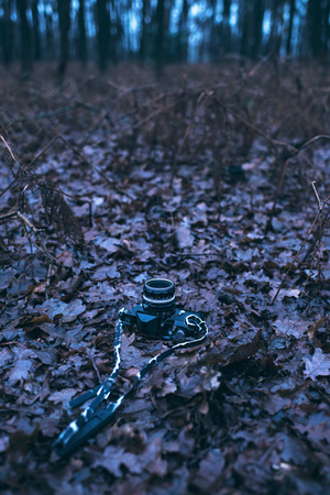 Vintage slr camera lying on autumn forest ground.の写真素材