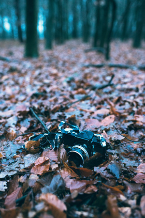 Lost vintage photo camera lying on dead leaves of forest ground. の写真素材