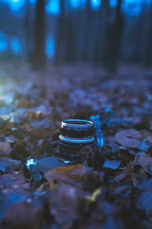 Vintage SLR camera lying on dead leaves in winter forest at dusk.の写真素材
